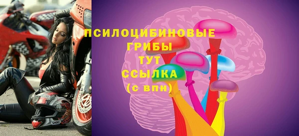 молекула духа Верея